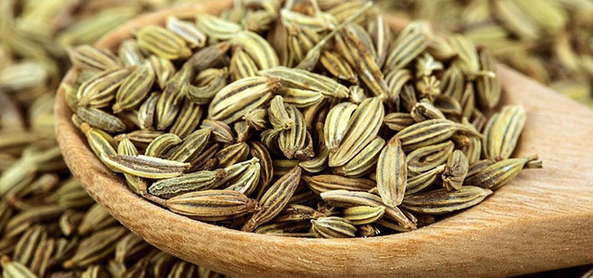 در مورد رازیانه بیشتر بدانید